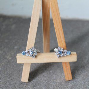 Vintage Blue and White Earrings
